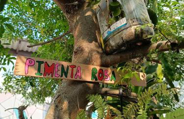 Happy House Beto Carrero - Photo 37