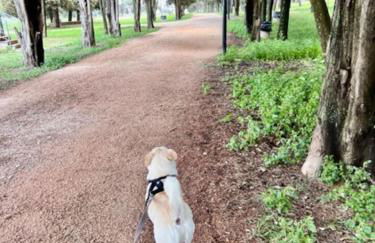 Una Biancasa - Foto 57