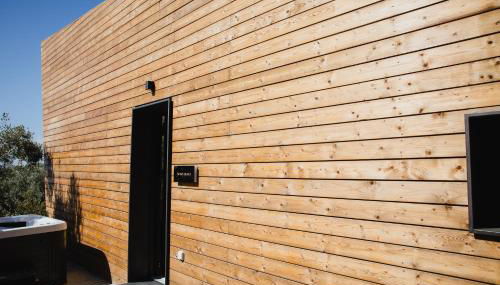 Five Olive Dream Trip - Photo 4