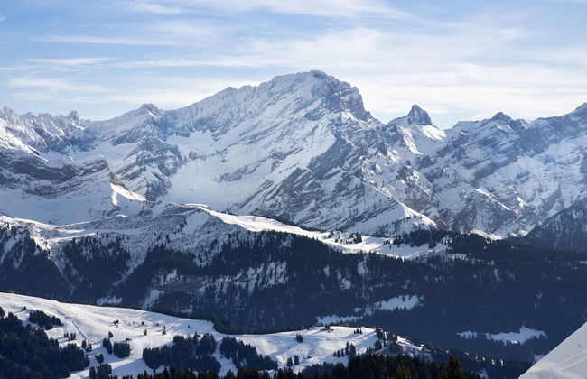 Chaperon Rouge A3 - Foto 23