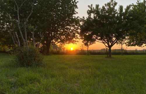 Domaine de la Closerie Champêtre - Gîte 1 chambre 1-2 personnes - Foto 8