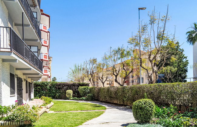 Estrella del mar - Foto 13