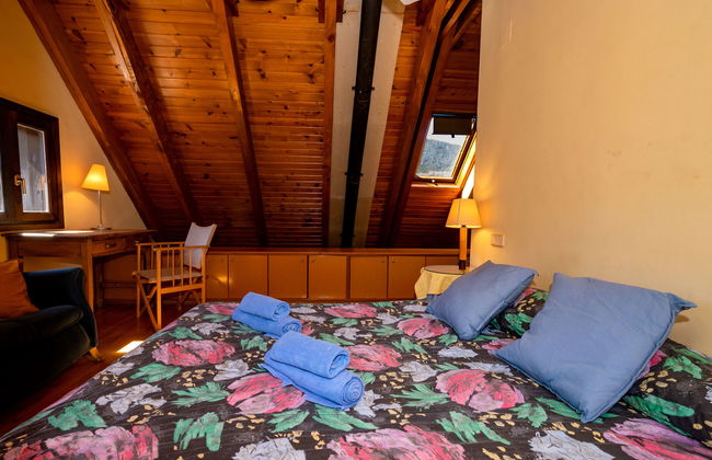 Herbasabina - Foto 20