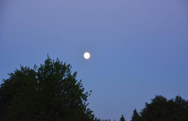 Scenic Cottage in Rahier - Photo 37