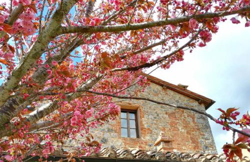 Borgo dé Brandi - Foto 56