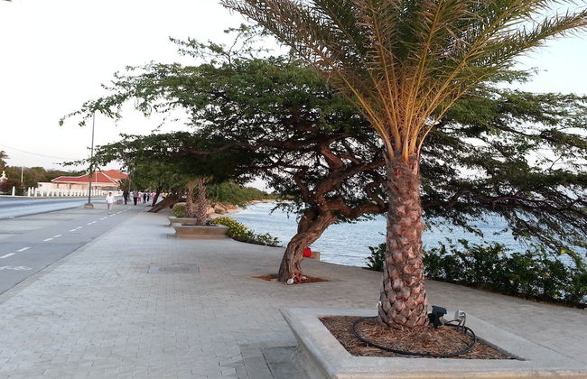 Le Chateau Ocean Villas - Foto 37