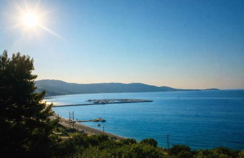 Blue Dandelion - Photo 3