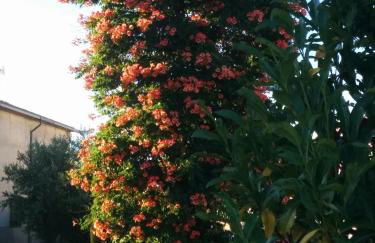 Appartamento Della Pia - Foto 53