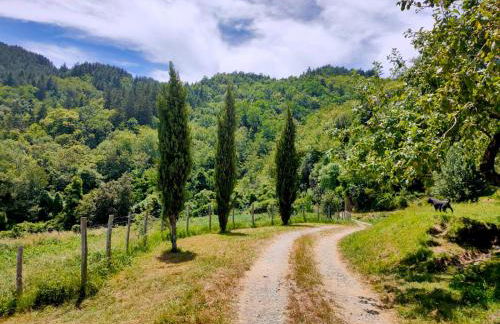 Agriturismo Giandriale - Foto 31