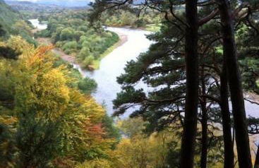 Norwegian Log Cabin The Roe Deer -sauna & hot tub - Foto 13