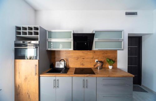 Apartament pod Zamkiem Książ "Nowa Szwajcarka" - Foto 10