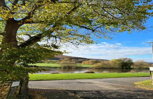 Bungalow im Feriendorf Uslar mit Gartenterrasse - Photo 48