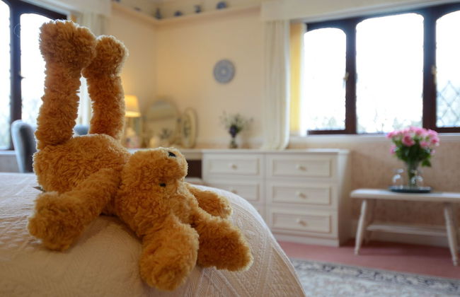 Acorn Court Country House - Foto 18