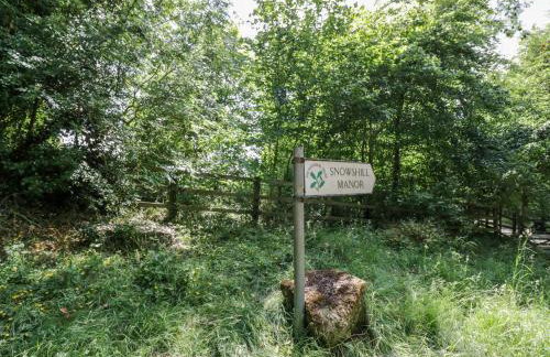 The Malins - Foto 27