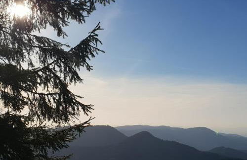 Ehrenmättlehof Faißt - Foto 17