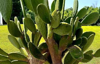 Le Village Sarzana - Foto 44