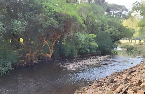 Cabana Pequeno Bosque som dás Águas - Foto 46