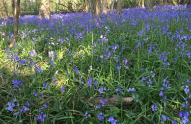 Church Farm, Legbourne Louth - Foto 43