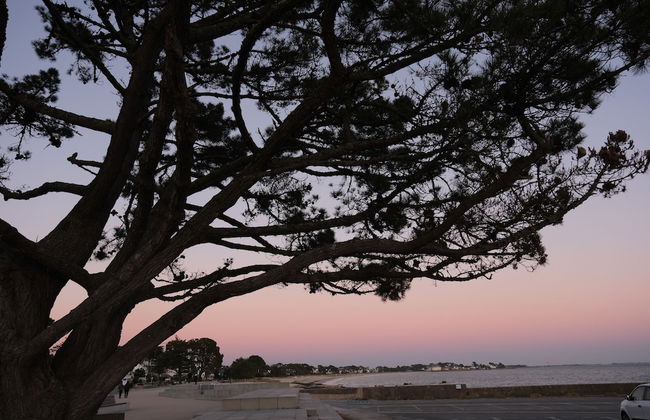 Thalazur Carnac - Résidence - Foto 43