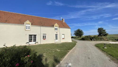 Les mimosas - Foto 5