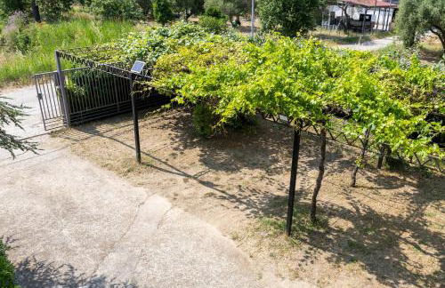 Sweet home Palinuro - Foto 26