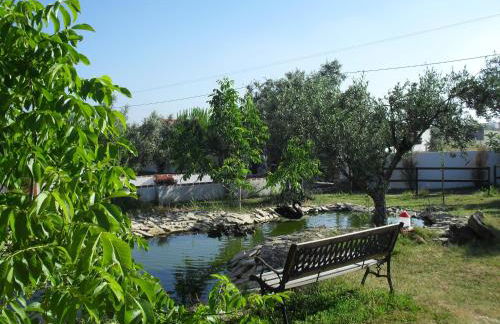 Quinta do Outeiro Alto - Foto 36