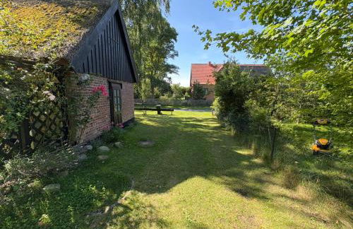 TIPP - Fischerhuus am Darß - Ostsee Urlaub gratis Parkplatz, Wlan - Foto 15