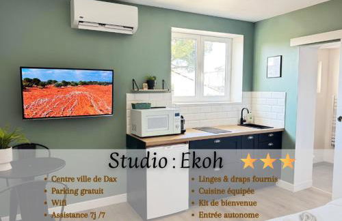 Studio Ekoh, centre de Dax - Foto 1