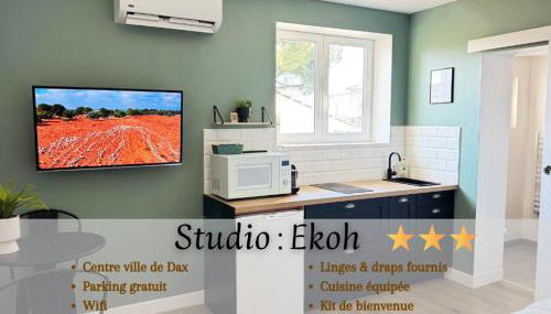 Studio Ekoh, centre de Dax - Foto 1