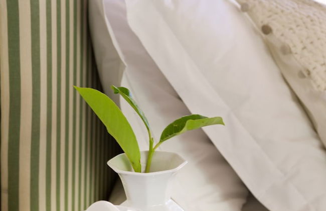 Casa Villa Rentals by Torre a Cona - Foto 12