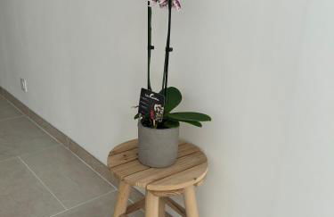 Suite jacuzzi - Foto 13