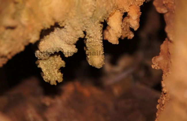 Giannakis Filoxenia - Foto 40