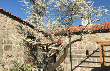 Quinta do Pinheiro - Foto 15