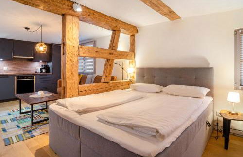 Apartments im Gästehaus Krone - Foto 64