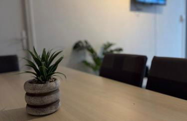 Appartement prestigieux et lumineux proche centre ville - Foto 21