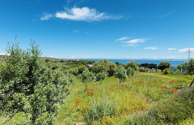 Zeus kır evi - Foto 42