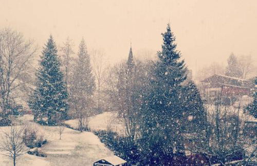 Tiny House Eulenbach - Urlaub im Gletscherkessel Präg - Foto 59