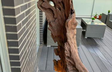 El Olivo del Pilar Turistea - Foto 22