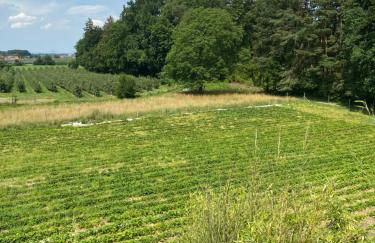 Ferienwohnung Apfelblüte - Photo 22