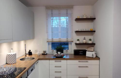 Apartament B & S - Free Garage Parking - Foto 16