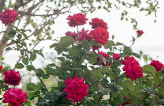 Trinity Suites "by Checkin" - Foto 31