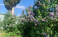 Petite maison de campagne - Foto 3