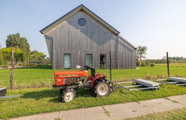 Holiday Home in Vrouwenpolder Near Beach - Photo 30
