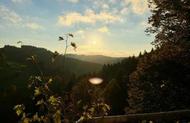 Alpe Sonnenruh - Foto 36