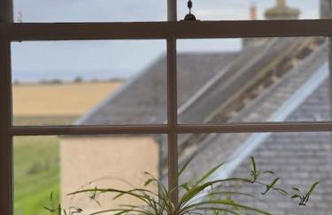 The Furze Farmhouse near St Andrews - Photo 41