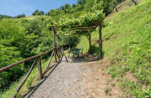Fattoria di Pietrabuona - Foto 64