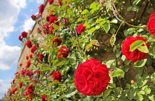 Landhaus im Rinnetal - Foto 105