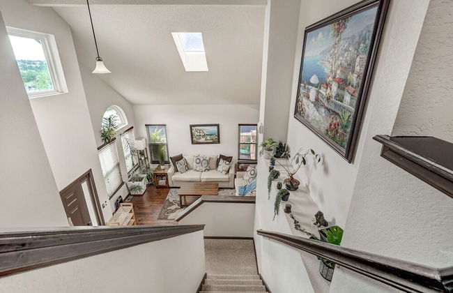 Shirley's Temple - Foto 37