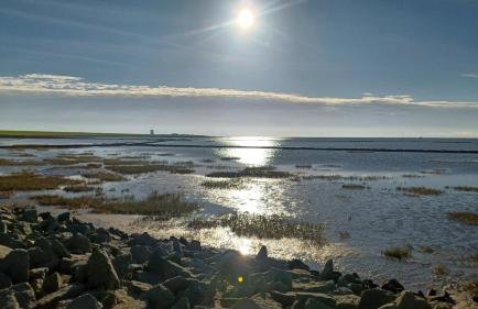 Ferienhaus Alter Deich - Photo 18