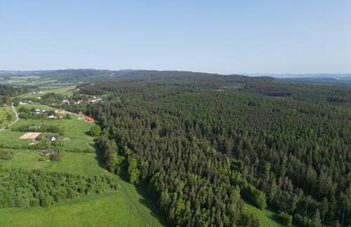 Okno na las - Foto 36